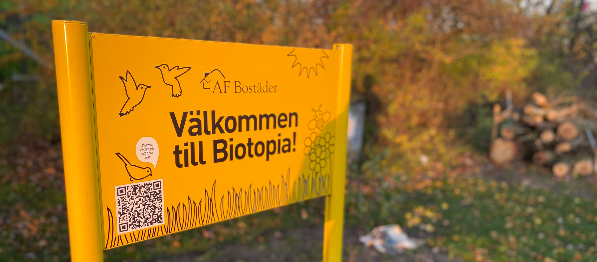 En gul skult med texten "Välkommen till Biotopia". I bakgrunden syns träd och trädstammar som är staplade på varandra.